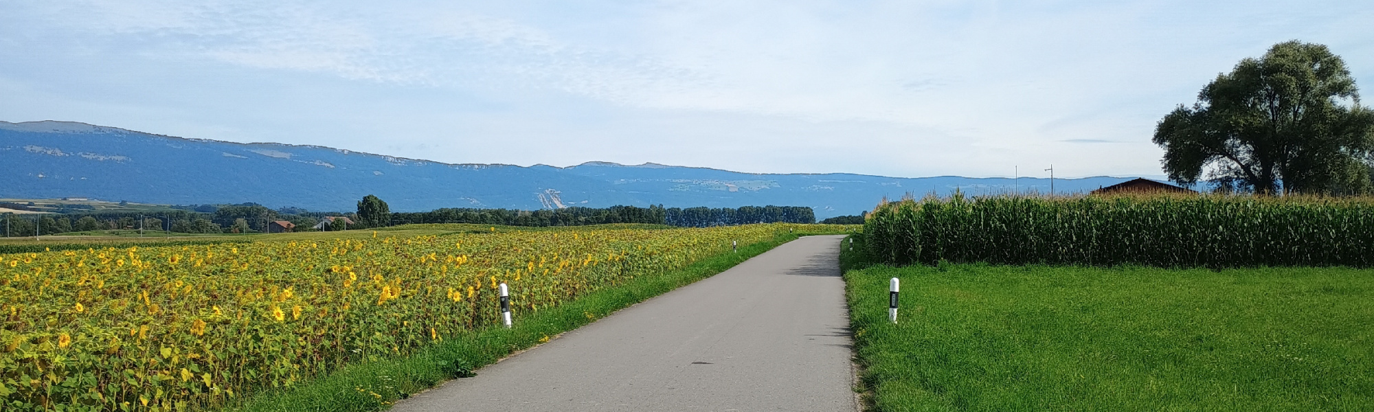 The road near Bavois, Switzerland